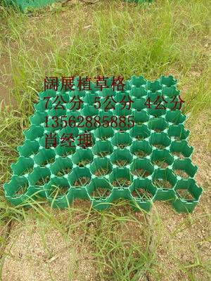 溫州5公分人行道植草格廠家2018全新產(chǎn)品價格公道闊展闊展