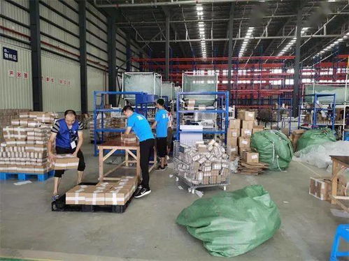 溫州開通跨境電商網(wǎng)購保稅進(jìn)口業(yè)務(wù) 全球商品貿(mào)易港首日交易超2000單