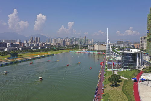 群眾比賽龍舟決賽溫州開(kāi)賽，展現(xiàn)傳統(tǒng)體育魅力